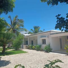 Les jardins d'Ambondrona