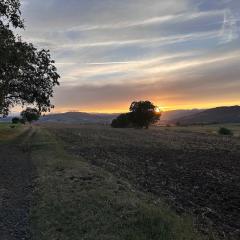 Unique Chambre 1 Centre Équestre Snack