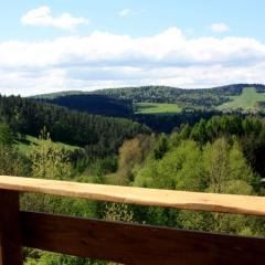 Apartament Zielony Widok - noclegi Bieszczady.