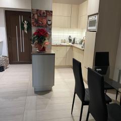 Nice Wellness Apartman