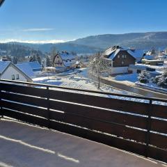 Haus Schluchseeblick