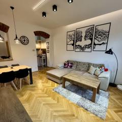 Privately owned apartment near Karlovy Vary