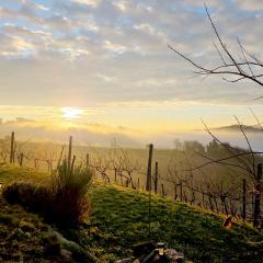 Jacuzzi & Vineyard Retreat