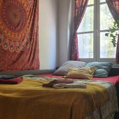 Appartement ancien à Gerland