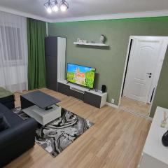 Cozy green apartament