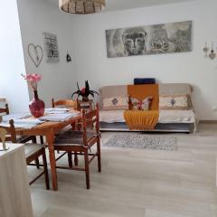 BELLE appartement T2 neuf et en plein centre