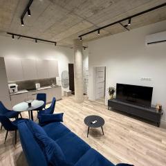 Modern apartment near old town