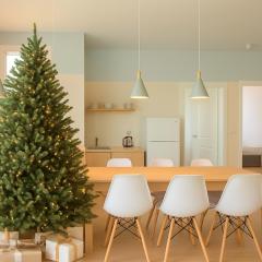 CHRISTMAS PROMO Elegant Apartments NEW