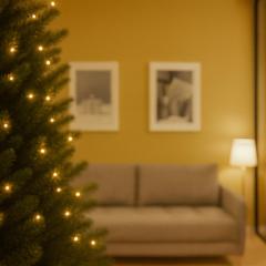 CHRISTMAS PROMO SEASON Cozy Apartment