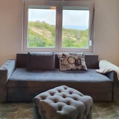 Pure nature lovely view house