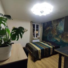 Bienvenue à Vinélys