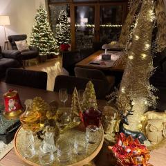 Silvan Villa - Apart