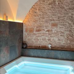 Loft architecte exceptionnel avec mini piscine design