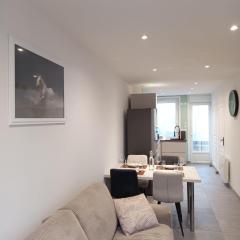 Appartement équipé vue phare, 2 min plage & ferry