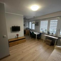 Apartament Toruński