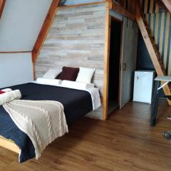 The River lodge Valdivia