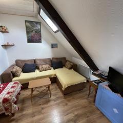 Studio atypique au centre du Lioran pour 4 personnes, confort et charme - FR-1-787-138