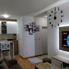 Apartman Ognjen Vrnjacka Banja