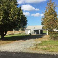 The basics in Edgewood