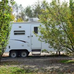 Caravansarai campsite Кемпинг Караван-сарай