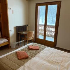 Logement chaleureux au pied des pistes de Lamoura