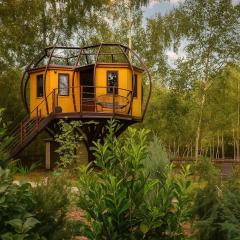 Piece of Heaven and Piece of Dream