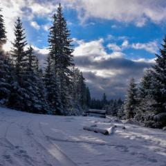 Wakacyjne Historie - nowoczesne i komfortowe apartamenty ze SPA u podnóża Śnieżnika