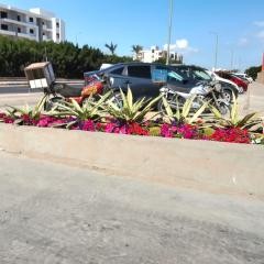 افنيو الهمبرا البرنسيسة ريزورت