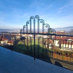 Apartman Paunov Breg