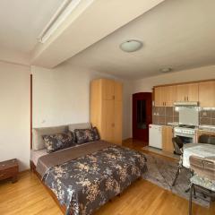 Zen Central View Apartments