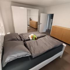 Specious Apartment in Downtown