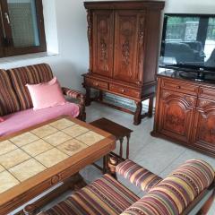 Prazdninovy dum Nepomuk