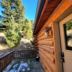 Cozy Wolf Log Cabin Mountain Ski lodge