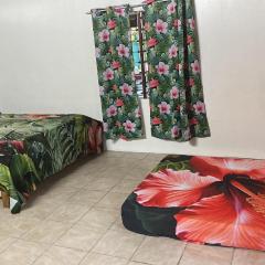 Punahere lodge Ohotu