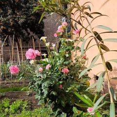 Il giardino di Borgo Nuovo