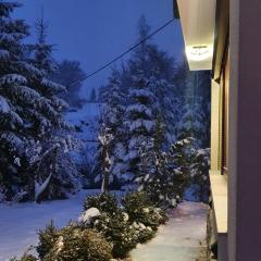 Vila Garden River Jahorina - Sarajevo