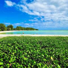 Natura Nikao Beachside 3BM Villa