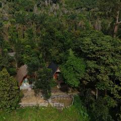 Green Forest Tangkahan