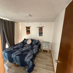 Cabañas a 7 minutos centro Papudo