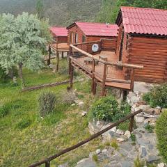 Cabañas BALCONES DEL PORTEZUELO - Mendoza