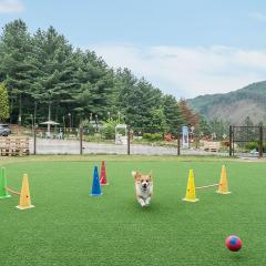 Hoengseong Withpet Village