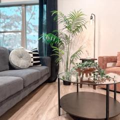 Comfy 1B1B - Medical District - Love Field Airport