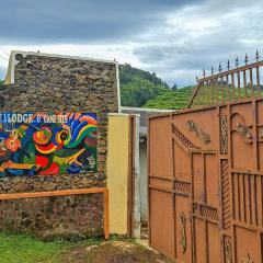 New Casa Gorilla Lodge and Campsite