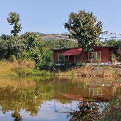 Hornbill, homestay a silent place to relax n enjoy