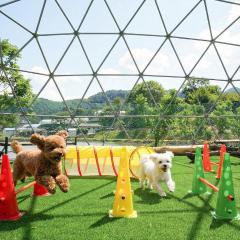 inje darani pet pension