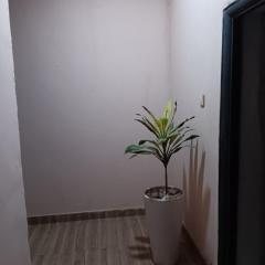 Posh homes and apartments