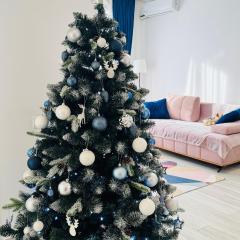 Karra Residence Timisoara - autorizat Ministerul Turismului