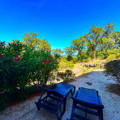 Les Restanques Glycines 2067