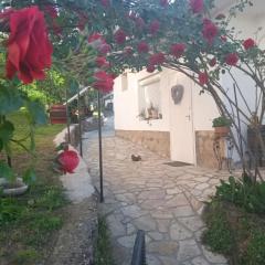 Rózsamorzsa Vendégház Szerencs