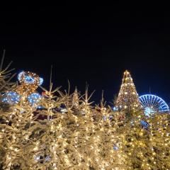 ECUME Appartement climatisé cosy 2 chambres pour 4 personnes au Barcarès